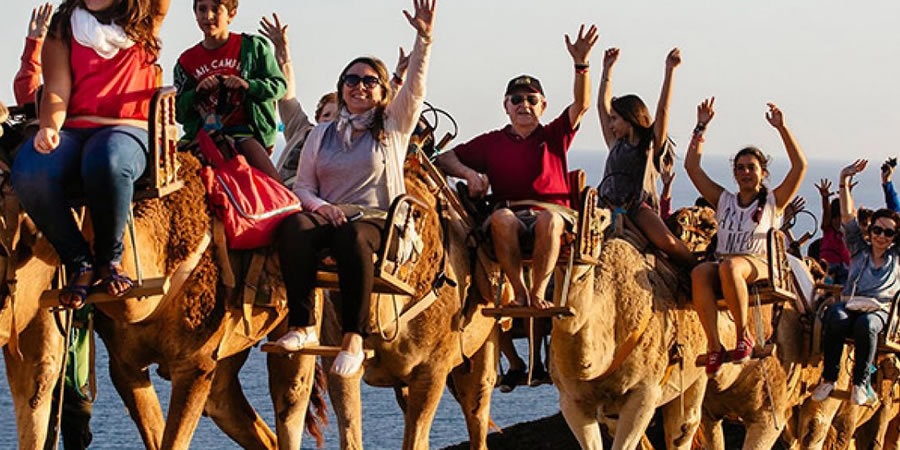 Montar a camello en Fuerteventura