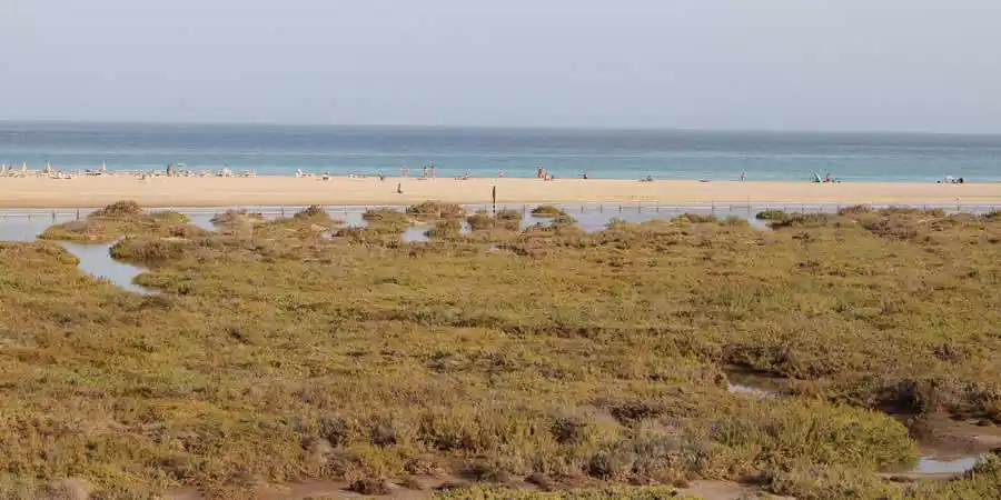 Sitio de Interés Científico de Playa del Matorral