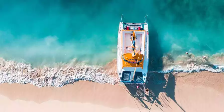 Visitar la Isla de Lobos